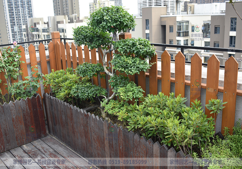 家博园艺｜世茂屋顶花园